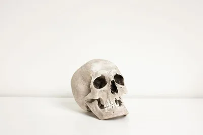 Memento mori in a time of pandemic