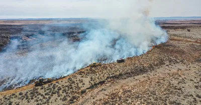 Firefighters continue to fight Texas wildfire