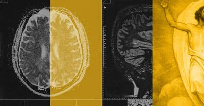 Studying Pain ‘Causes Me to Pine for Eternity’