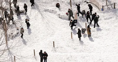 NYPD Seeking Suspects Accused of Attacking Officers with Ice, Snowballs