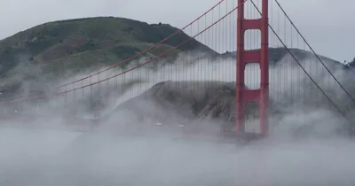 4.6 Earthquake Shakes Northern California