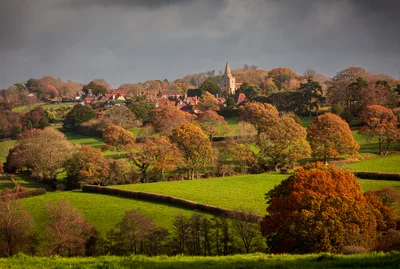 What autumn teaches us about the way of the cross