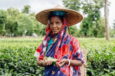 Leprosy in paradise