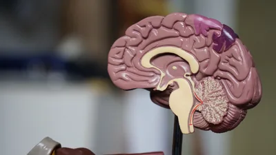 Christian neurologist details ethical parameters of brain-reading technology