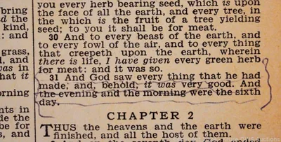 Elvis Presley's Bible Found by Bedside on Night He Died Sells for $120,000 at Auction