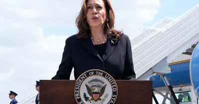 Harris receives majority of delegate support, DNC says