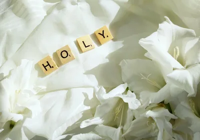 Pursue Holiness, Even When It's Unpopular