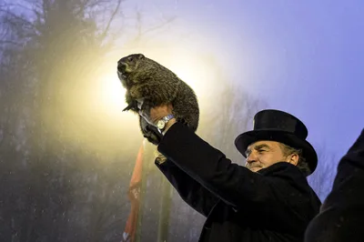 And the Result of Groundhog Day is … Wrong 60 Percent of the Time - RELEVANT