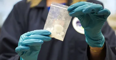 Indian CEO Arrested, Indicted for Distributing Fentanyl Chemicals