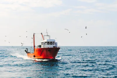 Exeter Cathedral service to celebrate Britain's fishermen and women