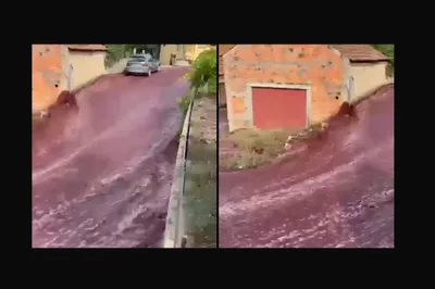 Cue the Jesus Jokes: Portugal Streets are Flooded with 600,000 Gallons of Red Wine - RELEVANT