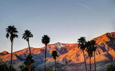 FIRST-PERSON: Myths about California | Baptist Press