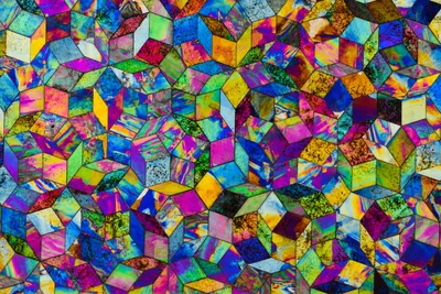 Isolation, Inclusion, and the Future of the Church