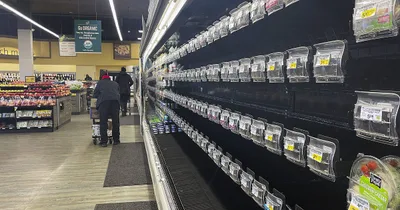 Supply chain problems leave grocery shelves sparse