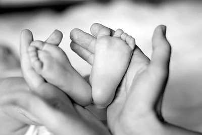 Study will investigate impact, evolving role of maternity homes in US
