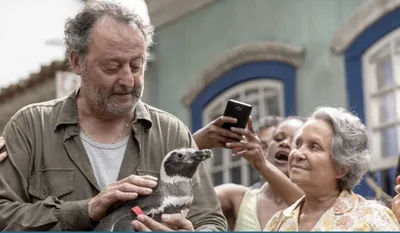 Uplifting 'My Penguin Friend' Film Challenges Audiences to Steward, Honor God's Creation