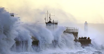 Storms claim lives in Northern Europe