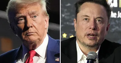 Elon Musk to Audit Government If Elected, Trump Says