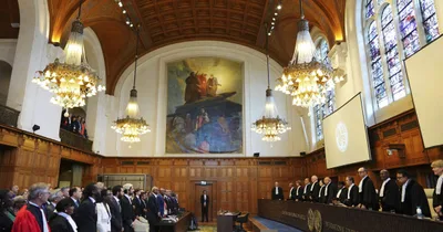 Clean, healthy environment a human right, top UN court rules