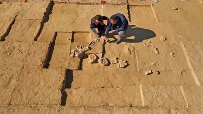 Breakfast Dig: Archaeologists Find 4,000-Year-Old Ostrich Eggs in Israel's Negev Desert