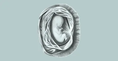 The Evil of Abortion in 1776, 1876, and 2026