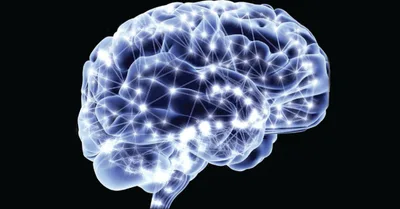 Can Neuroscience Help Us Disciple Anyone?
