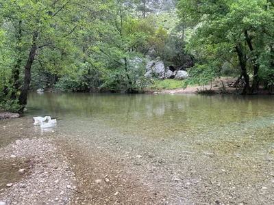 The Free Gift of the Water of Life
