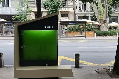 Scientists Have Made Liquid Trees Because, Sure - RELEVANT