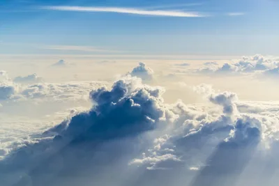 Black Americans more certain than any other racial group that they're going to Heaven