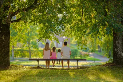 Decline in marriage and relationships among factors driving global fertility slump - study
