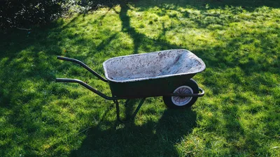 NY's 'Eco-Friendly' Human Composting Law Raises Alarms: 'Human Bodies Are Not Household Waste'