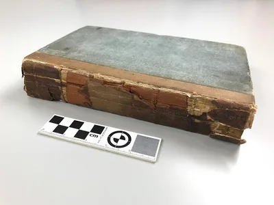 Rare 'Slave Bible' Used to 'legitimize slavery' Goes on Display in Dutch Museum