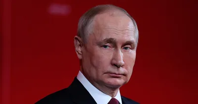 Putin Will Not Attend G20 Summit, Organizers Say