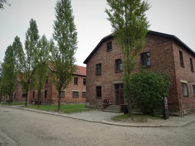 The Trees of Auschwitz