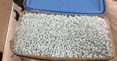 Record half-ton of fentanyl seized at Arizona border