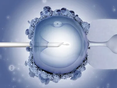 Southern Baptist Ethics Committee Says IVF is Immoral, Tells Christians to Oppose It