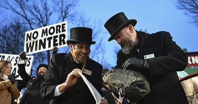 Groundhog Day: Punxsutawney Phil predicts early spring