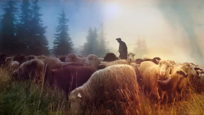 FIRST-PERSON: Jesus knows the way home | Baptist Press