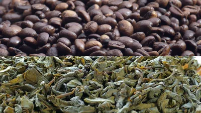 Coffee vs Tea: Which is Healthier? The Answer May Surprise You