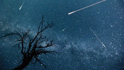 Astrology Interest Is Rising, Even in the Church: 'A Wave of Astrology Opens the Door to Hell'