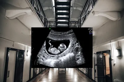 A Florida Lawyer Argues That a Pregnant Inmate's Unborn Child Is Being Illegally Detained - RELEVANT