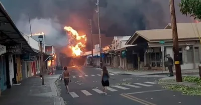 Hawaiian Wildfires Cause Citizens to Flee into the Ocean