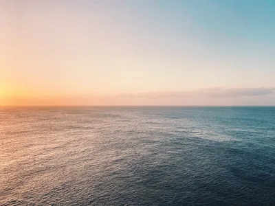 'Floating' Clinic to Offer Low-Cost Abortions in Gulf of Mexico to Skirt State Laws Post Roe
