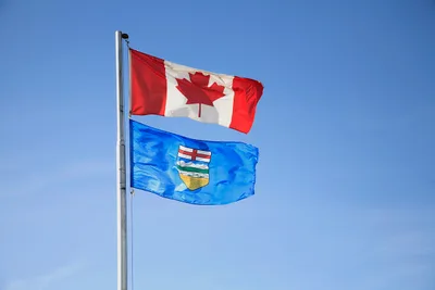 Canadian Police Arrest Teen Handing Out Bibles During Altercation with Trans Activists