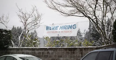 A record 4.5 million Americans quit jobs in November