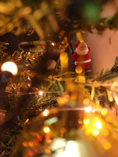 School closed in India for celebrating Christmas