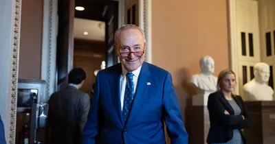 Schumer elected to lead Democratic Senate majority