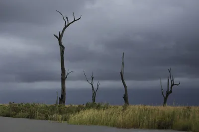 Faith Groups Increasingly Join Fight Against Climate Change