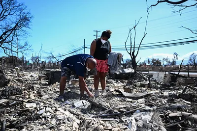 Maui Fires: A Landscape of Loss and One Symbol of Hope