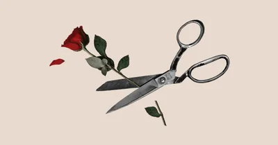 She Wrote Love Stories. Then Her Marriage Ended.